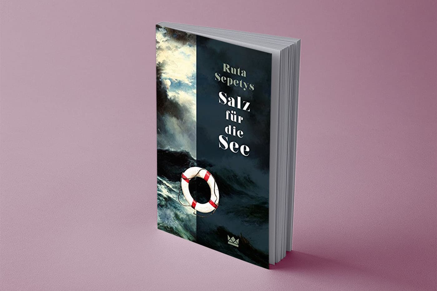 buchcover salz für die see