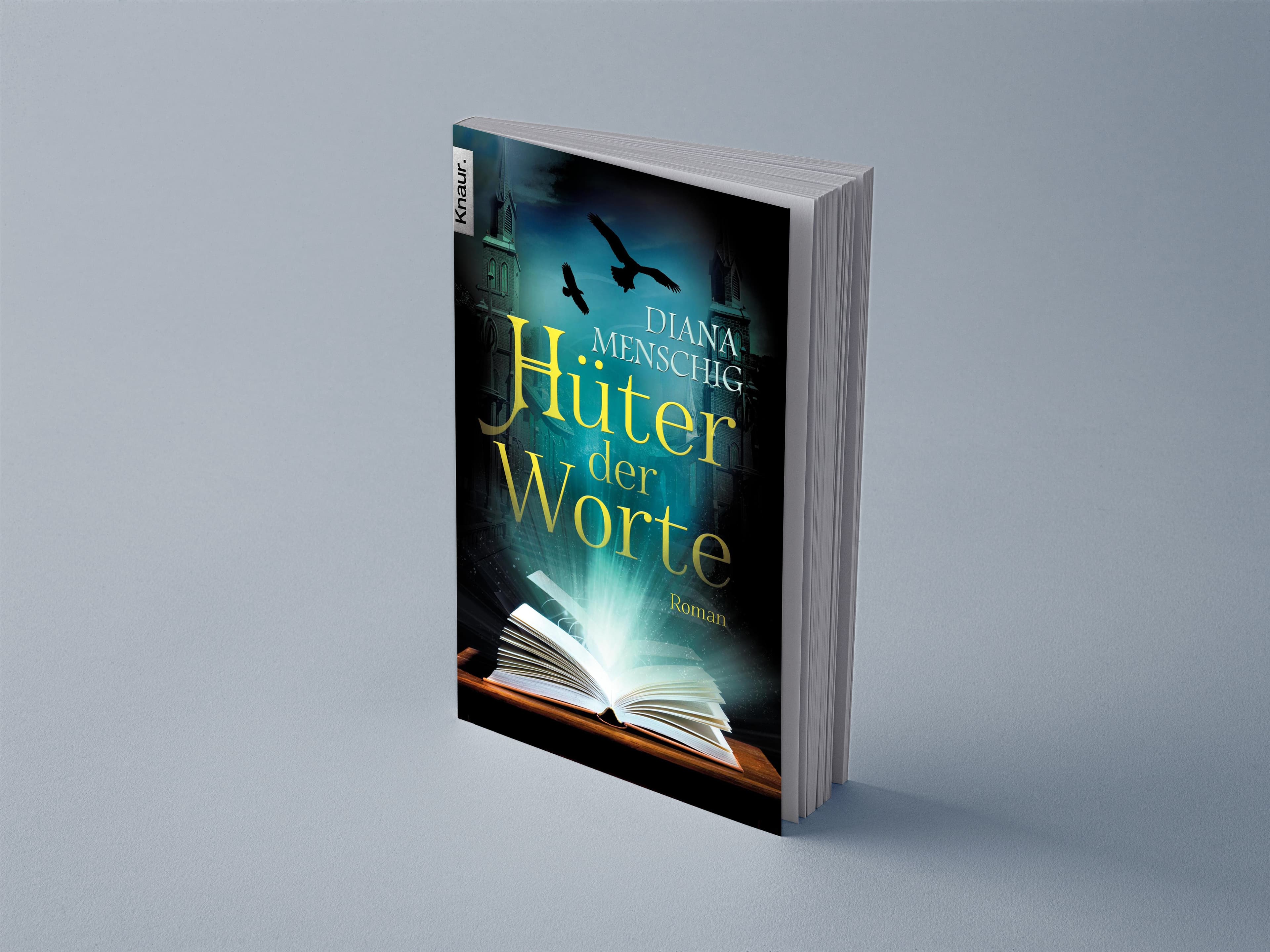 buchcover hüter der worte