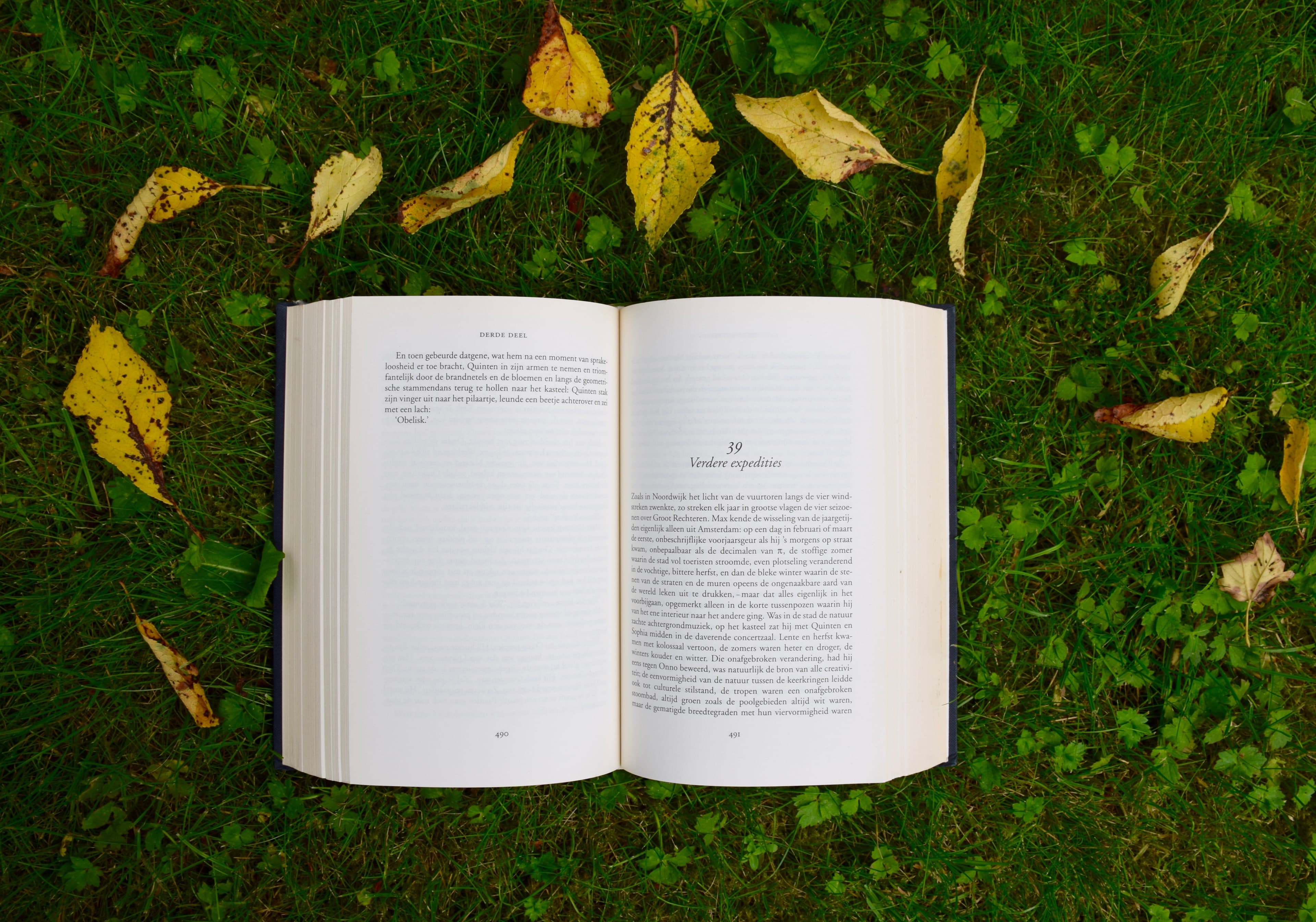 offenes buch auf grünem hintergrund